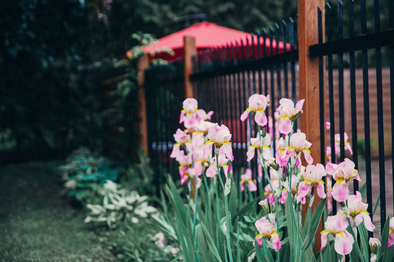 Garden Essentials